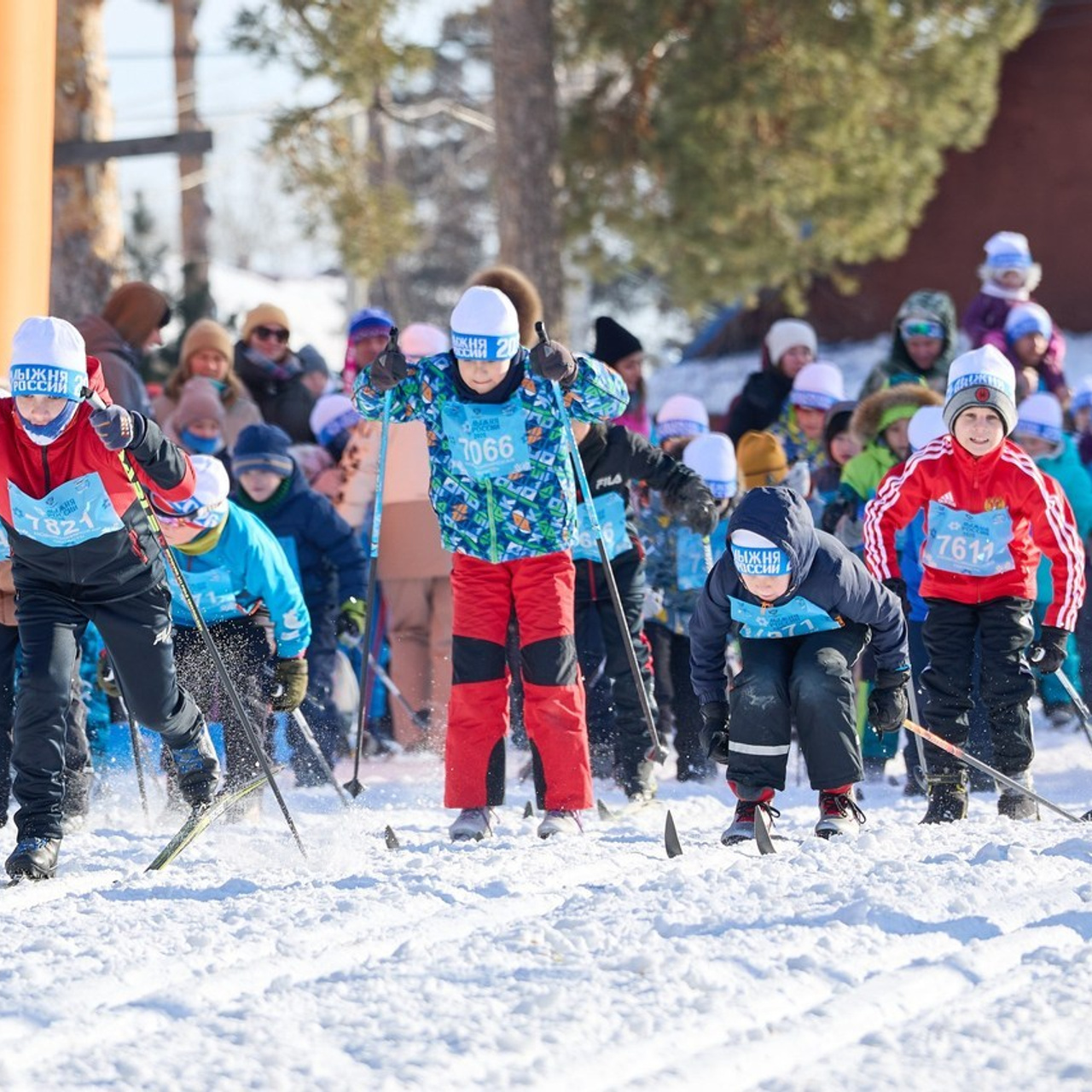 Отзывы. Фотограф в Новосибирске Алена Скокова