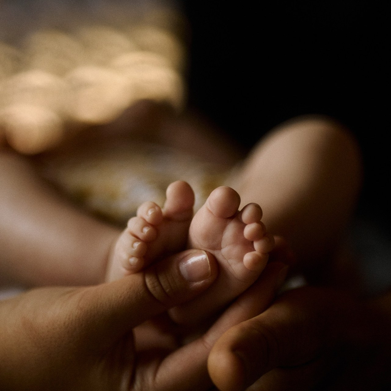 Отзывы. Edomaphoto.ru