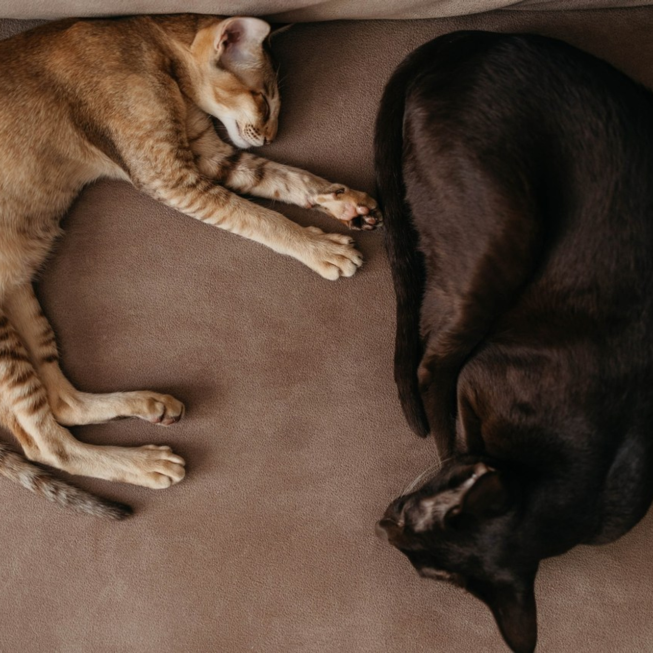 Отзывы. Фотограф в Твери Лагодная Яна