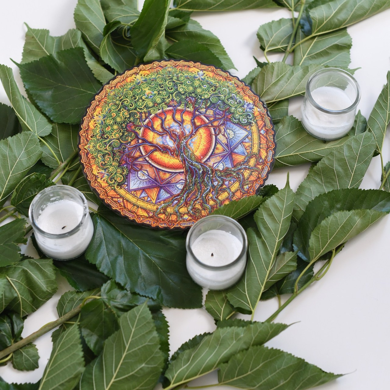 Отзывы. Фотограф и видеограф в Краснодаре Анастасия Шеверева