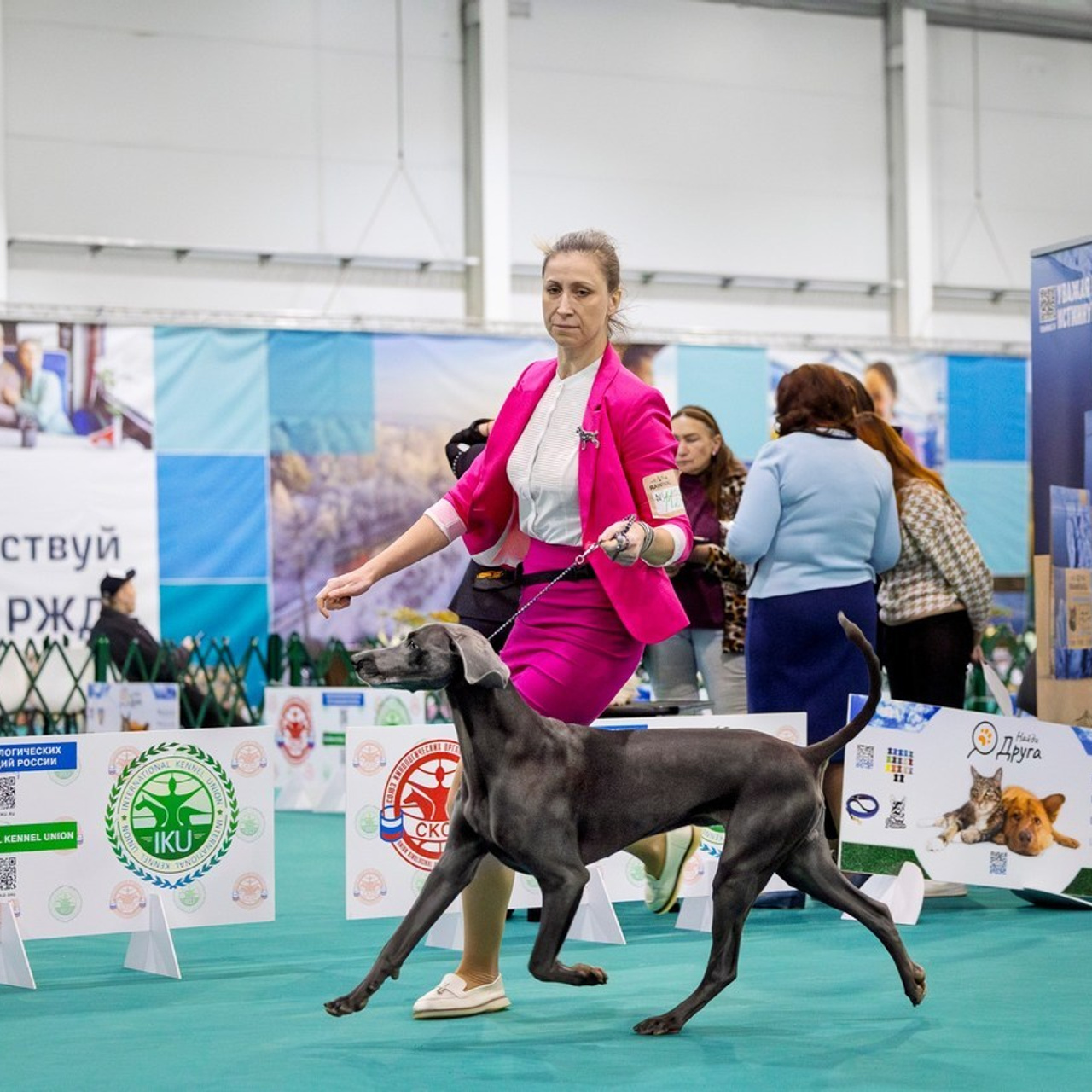 Отзывы. Фотограф анималист, семейный фотограф, фотограф собак Комратова Мария. г. Москва