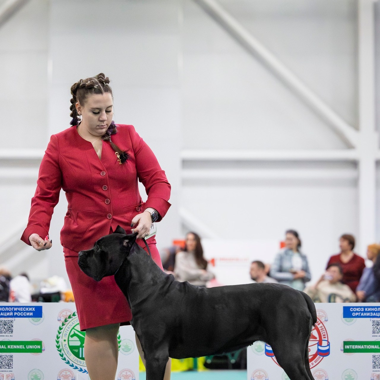 Отзывы. Фотограф анималист, семейный фотограф, фотограф собак Комратова Мария. г. Москва