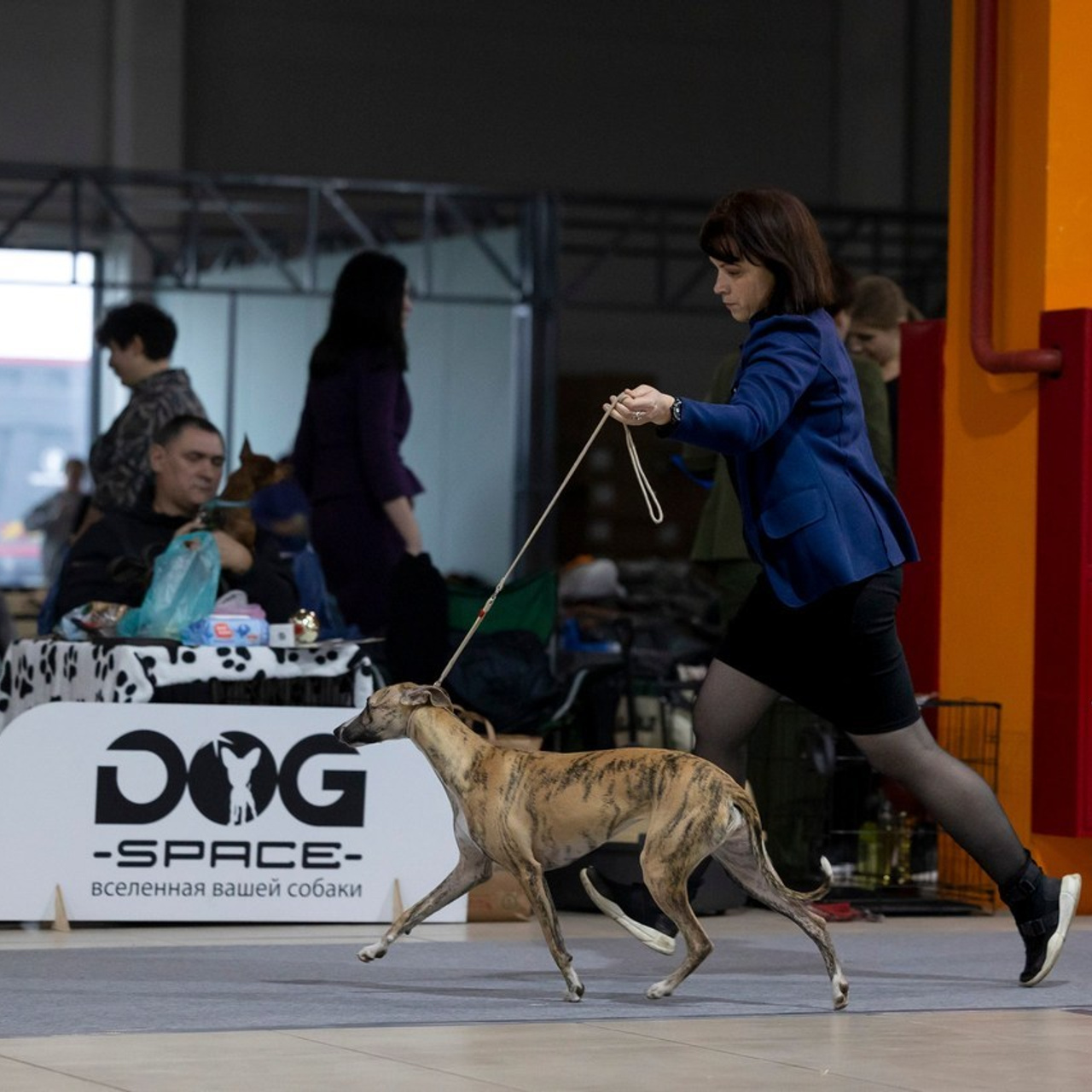 Отзывы. Фотограф анималист, семейный фотограф, фотограф собак Комратова Мария. г. Москва