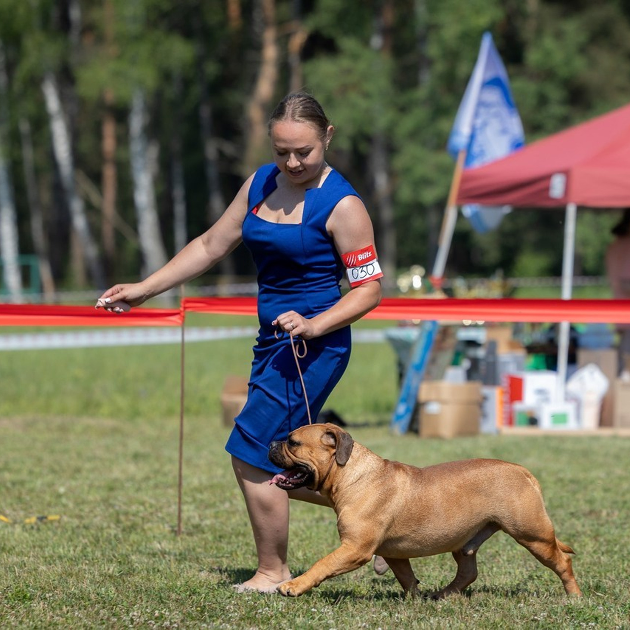 Отзывы. Фотограф анималист, семейный фотограф, фотограф собак Комратова Мария. г. Москва