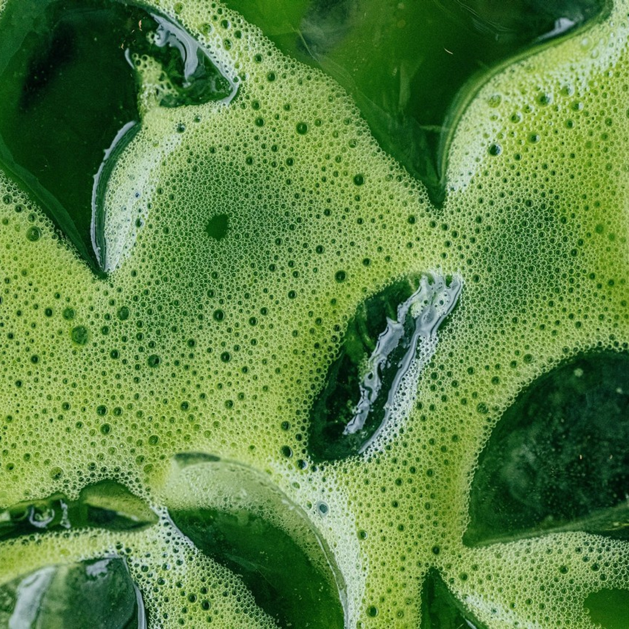 Отзывы. Фото| Видео продакшн | Александр Ярков