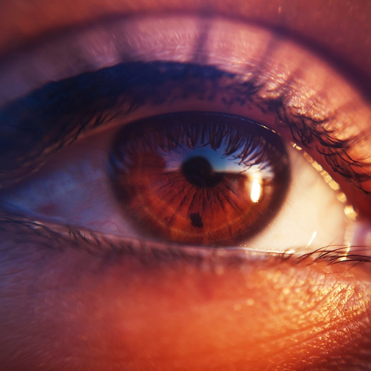 Глазомания