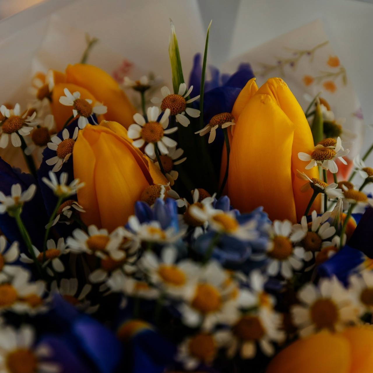 Отзывы. Фотограф Оксана Чекунова🧡Ловлю моменты, превращаю их в воспоминания!