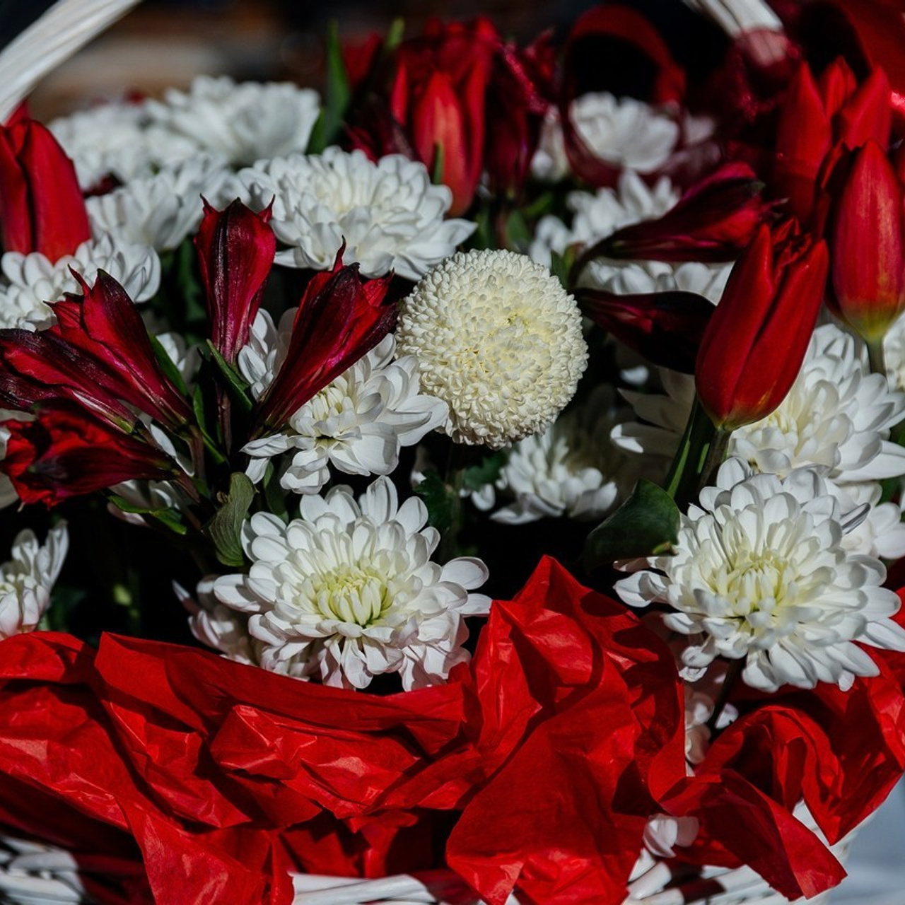 Отзывы. Фотограф Оксана Чекунова🧡Ловлю моменты, превращаю их в воспоминания!