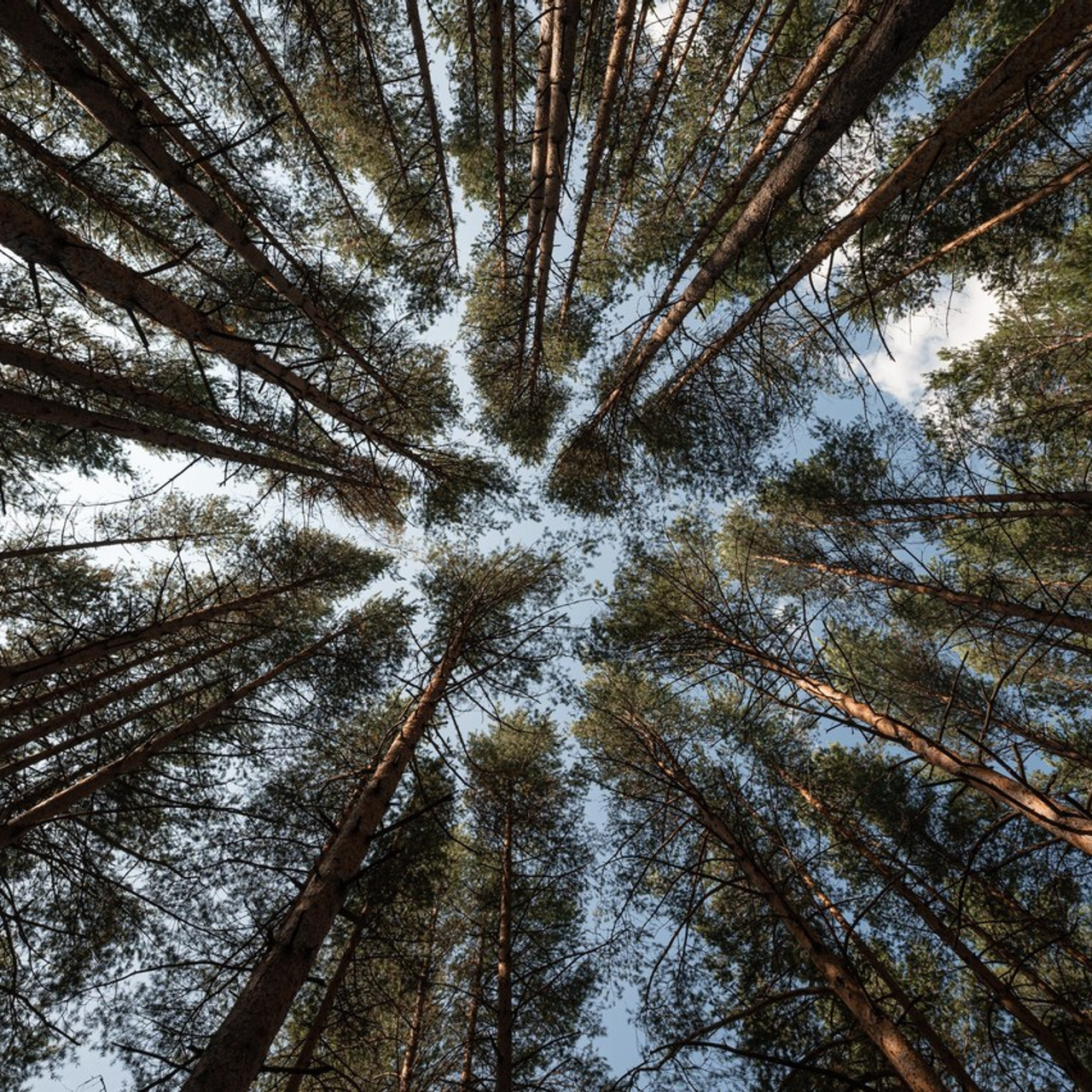 Отзывы. Фотограф Демин Дмитрий