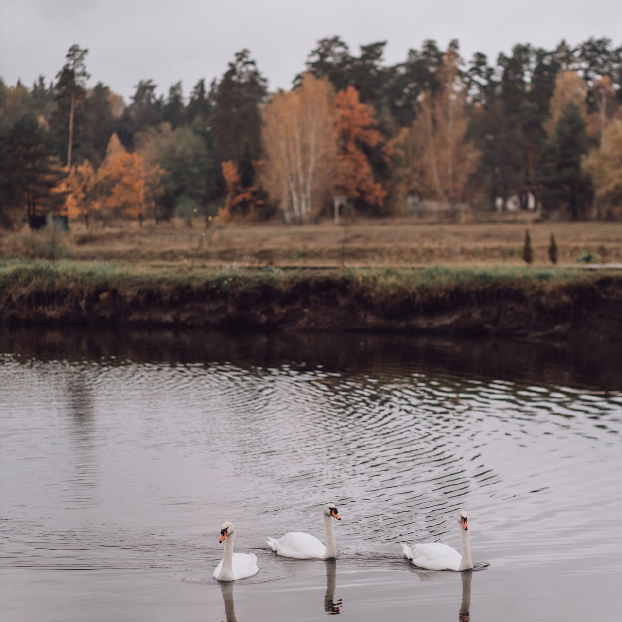 Отзывы. Валентина Удалая — семейный и портретный фотограф в Брянске