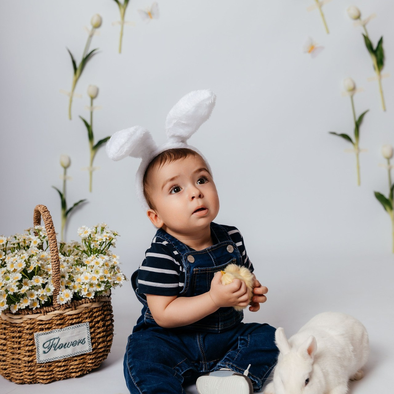 Отзывы. Контакты