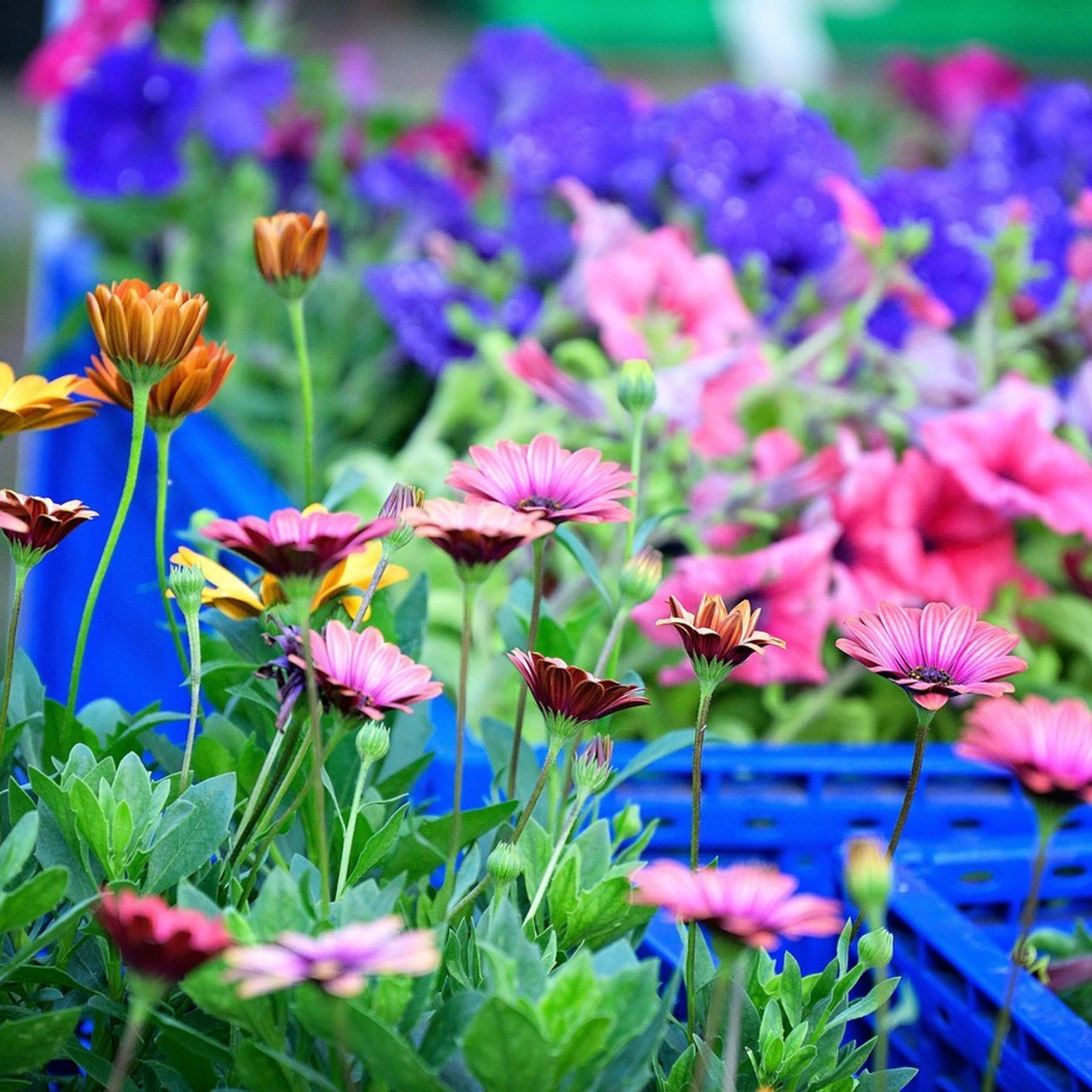 Отзывы. Елена Кухарева фотограф г. Тамбов