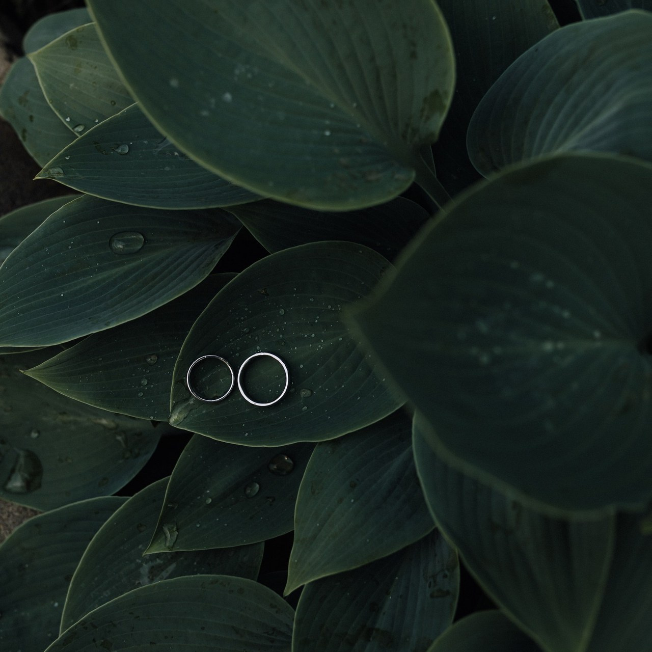 ОТЗЫВЫ. ANNSENSUS