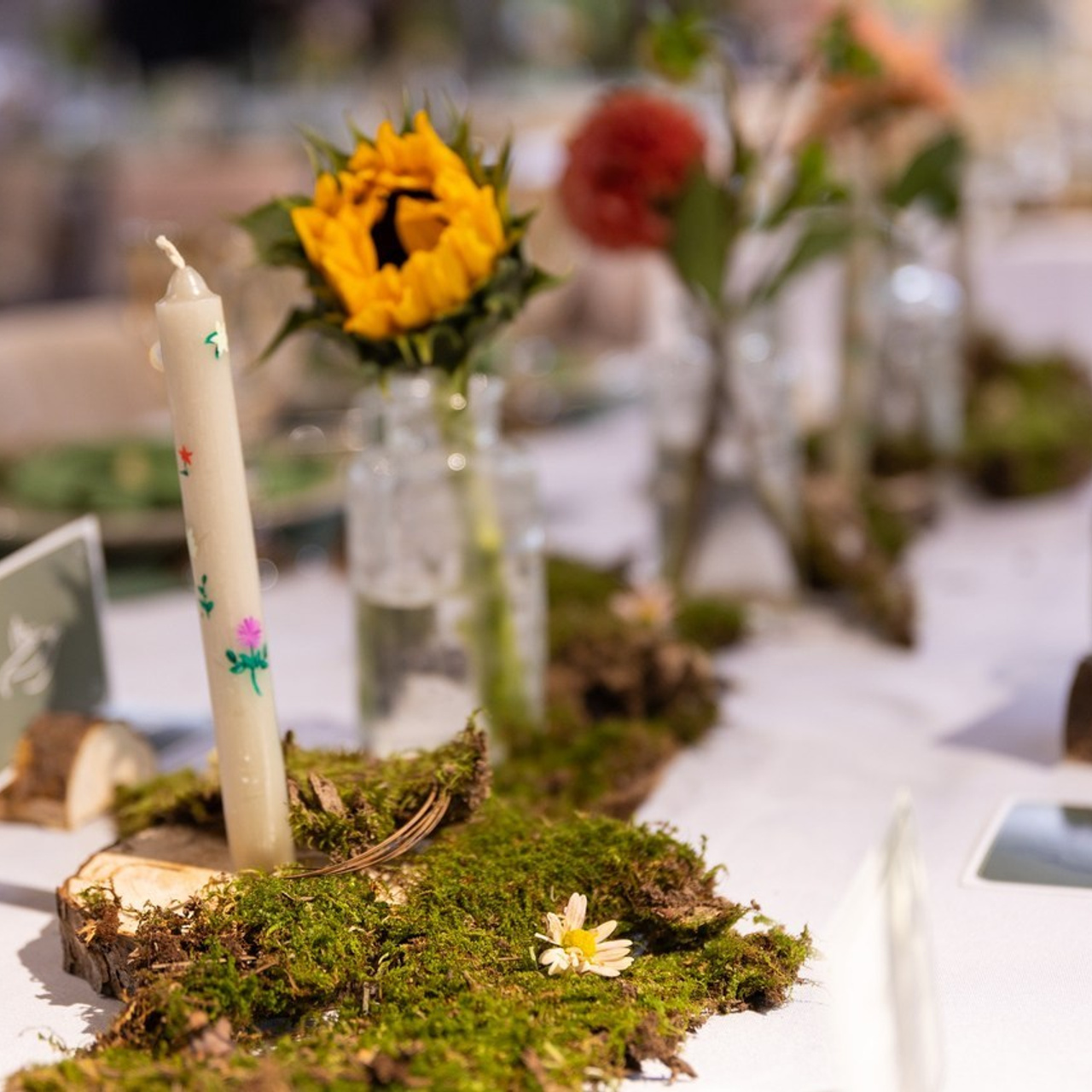 Отзывы. Олег Катакинов| Репортажный фотограф в городе у моря (Владивосток)