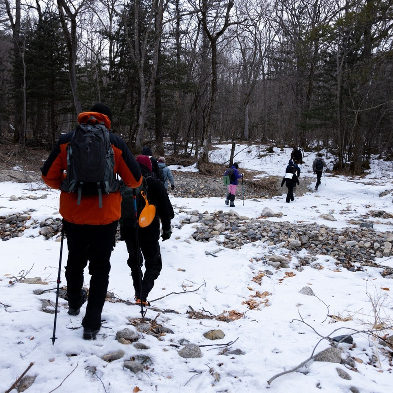 Отзывы. Олег Катакинов| Репортажный фотограф в городе у моря (Владивосток)