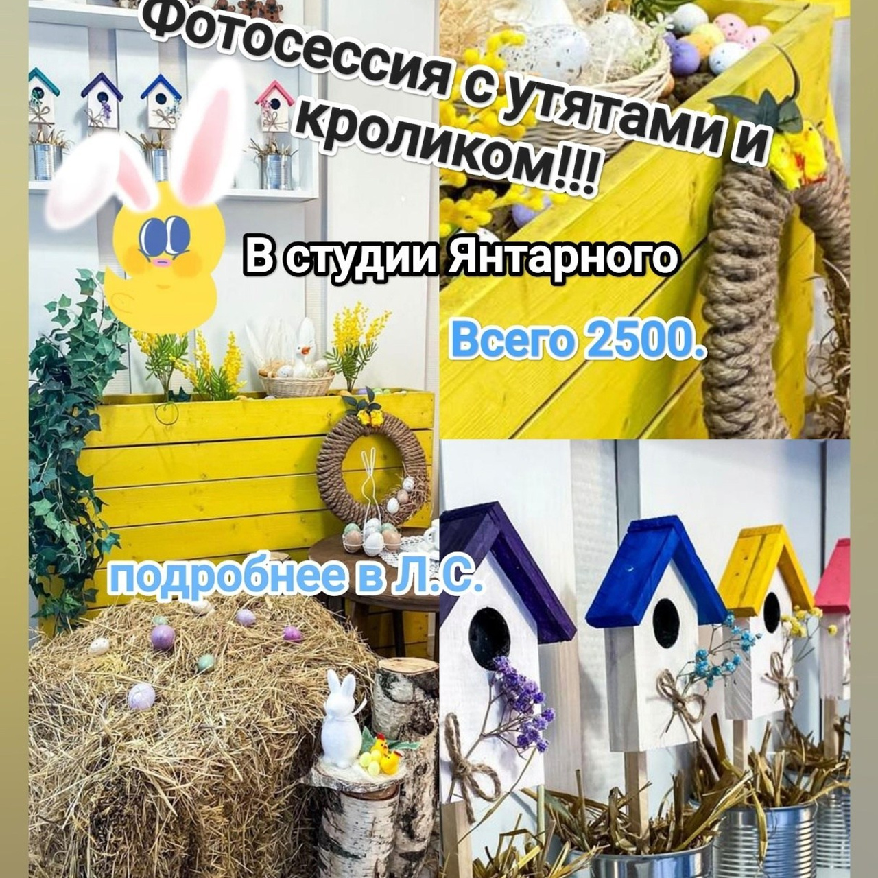 Отзывы. Фотограф Видеограф Игорь Никулин Москва Балашиха