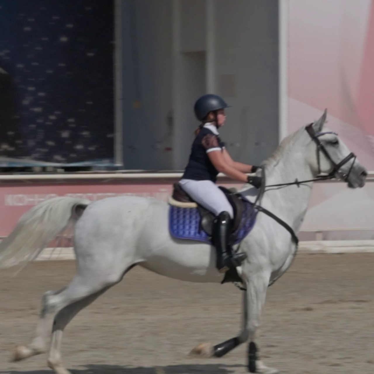 Отзывы. Фотограф Видеограф Игорь Никулин Москва Балашиха