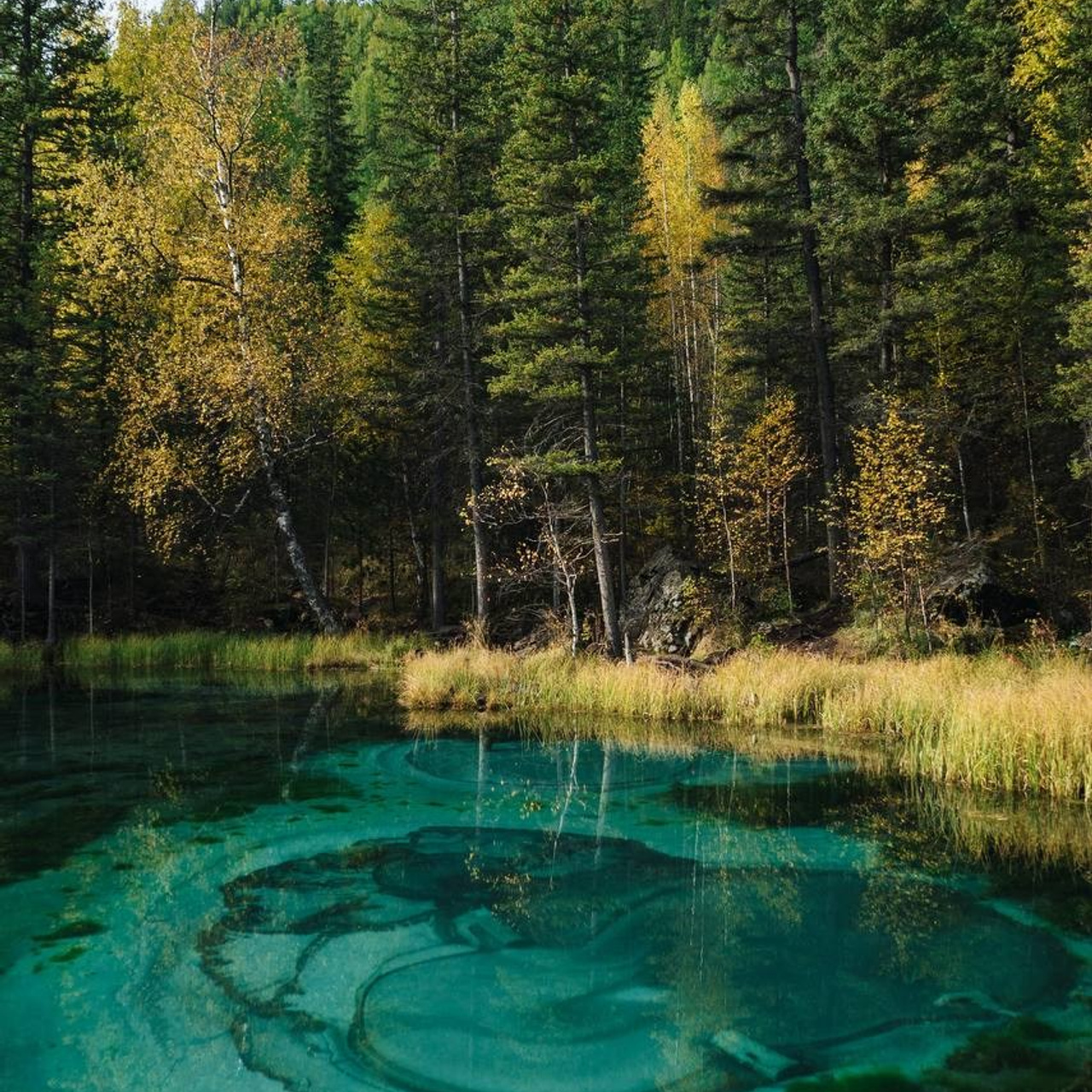 Тур на Алтай —  с комфортом летом