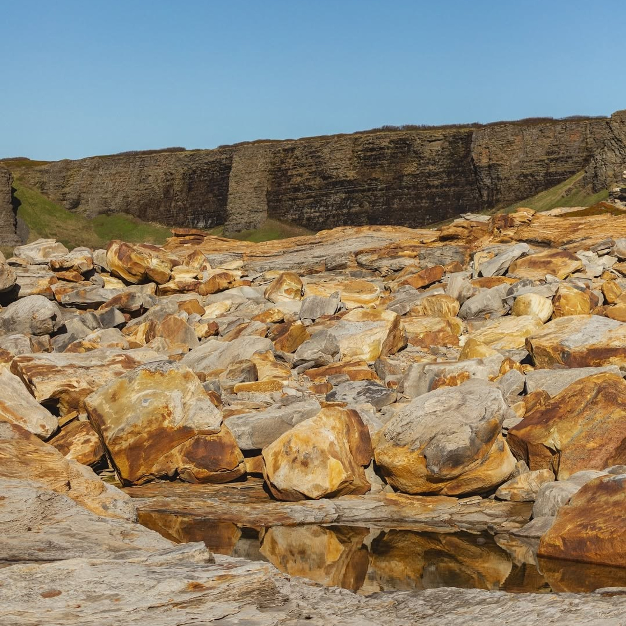 Тур в Мурманск лето 2026 — Двойные шансы встретить китов