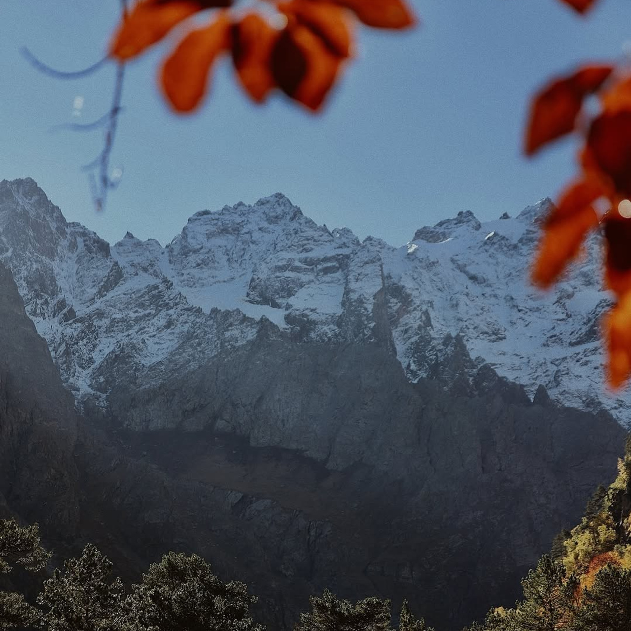 Осетия | премиум