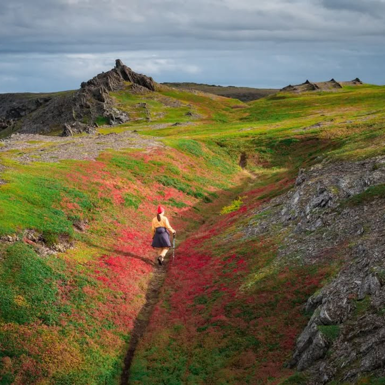 Тур в Мурманск лето 2026 — Двойные шансы встретить китов