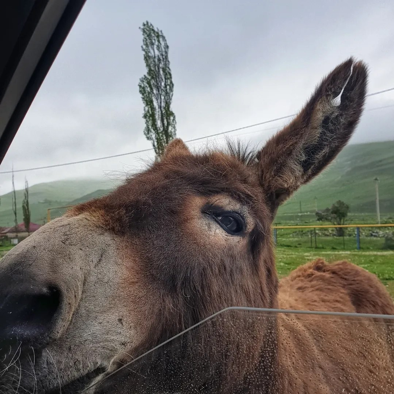 Тур в Осетию —  С проживанием в горах
