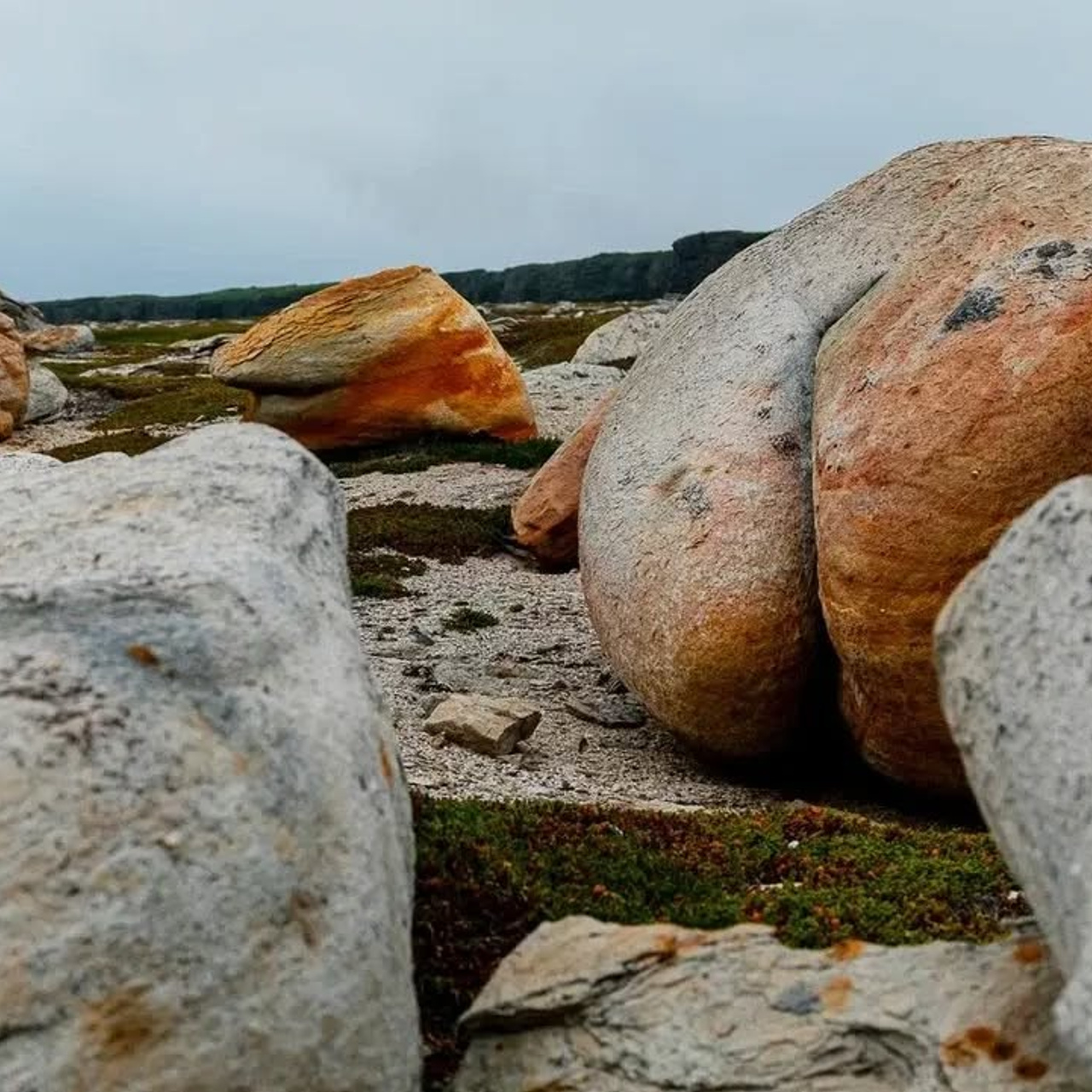 Тур в Мурманск лето 2026 — Двойные шансы встретить китов