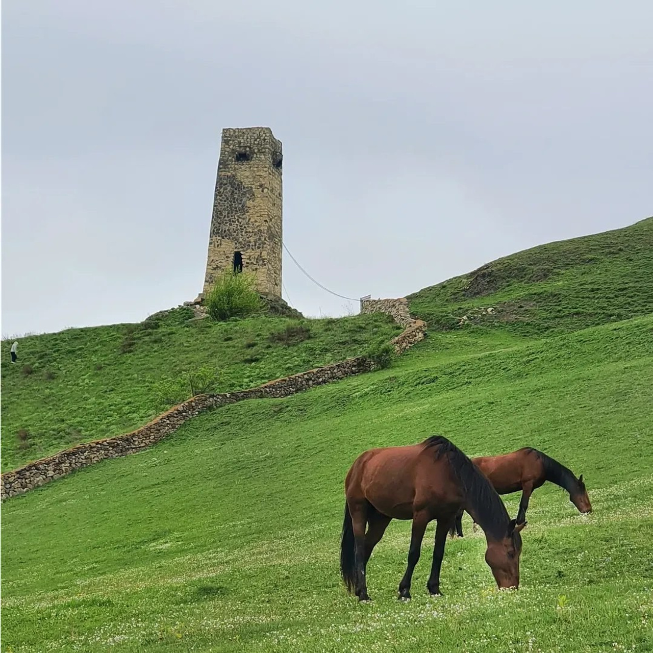 Тур в Осетию —  С проживанием в горах