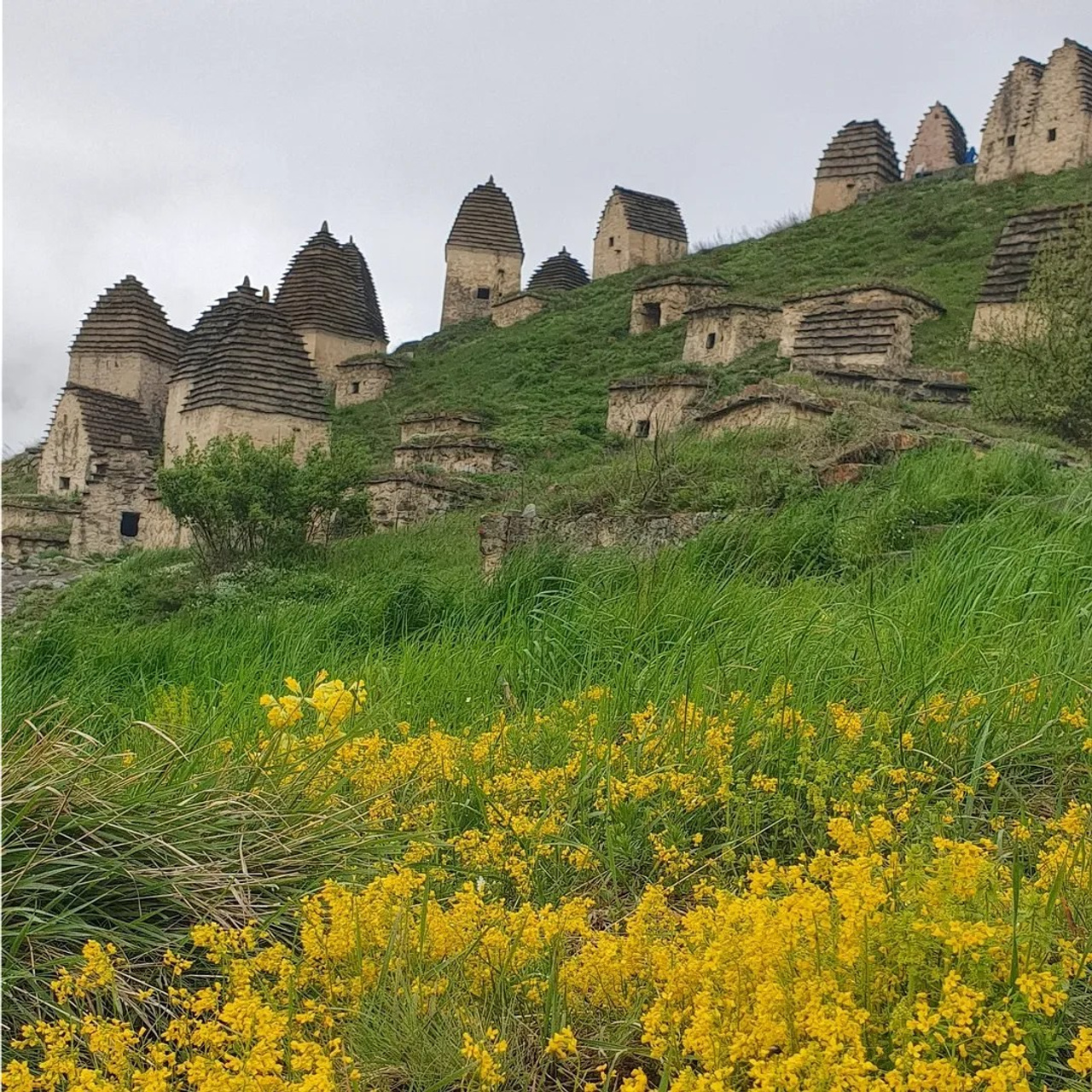 Тур в Осетию —  С проживанием в горах