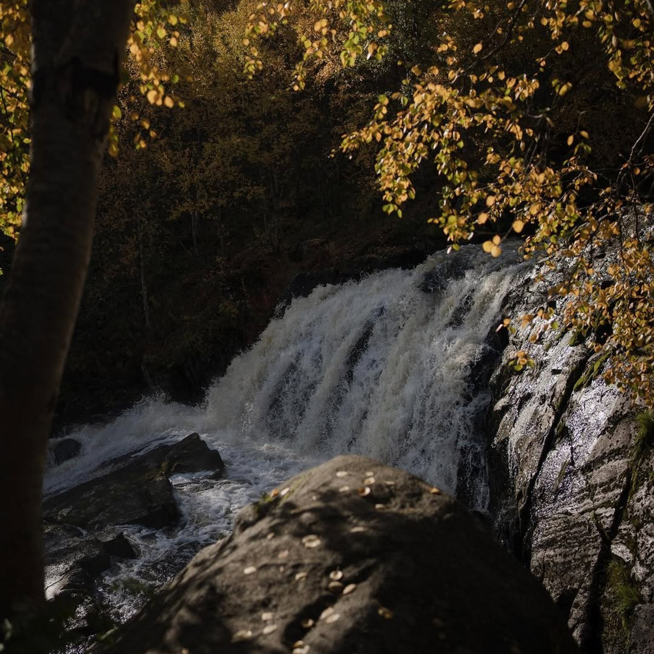 Тур в Мурманск лето 2026 — Двойные шансы встретить китов
