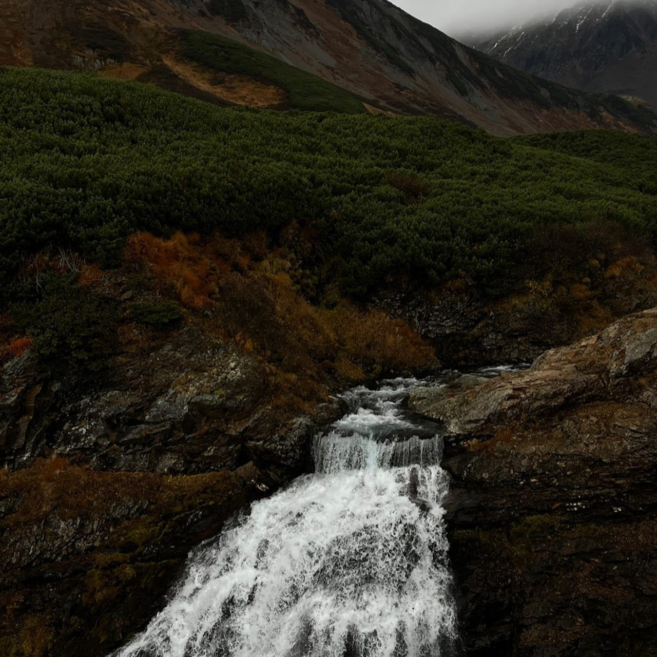 Камчатка с комфортом —  Cезон 2026