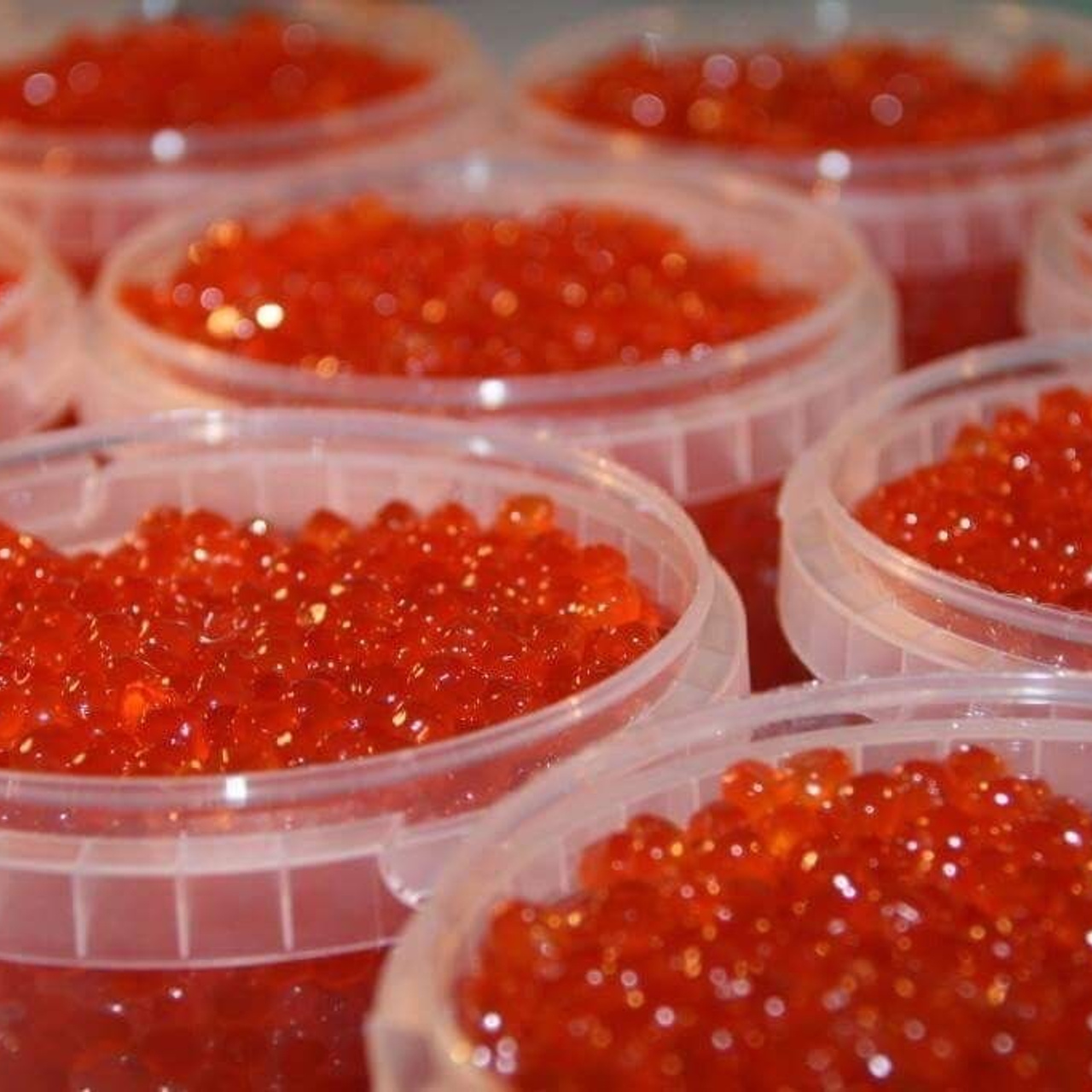 Камчатка с комфортом —  Cезон 2026