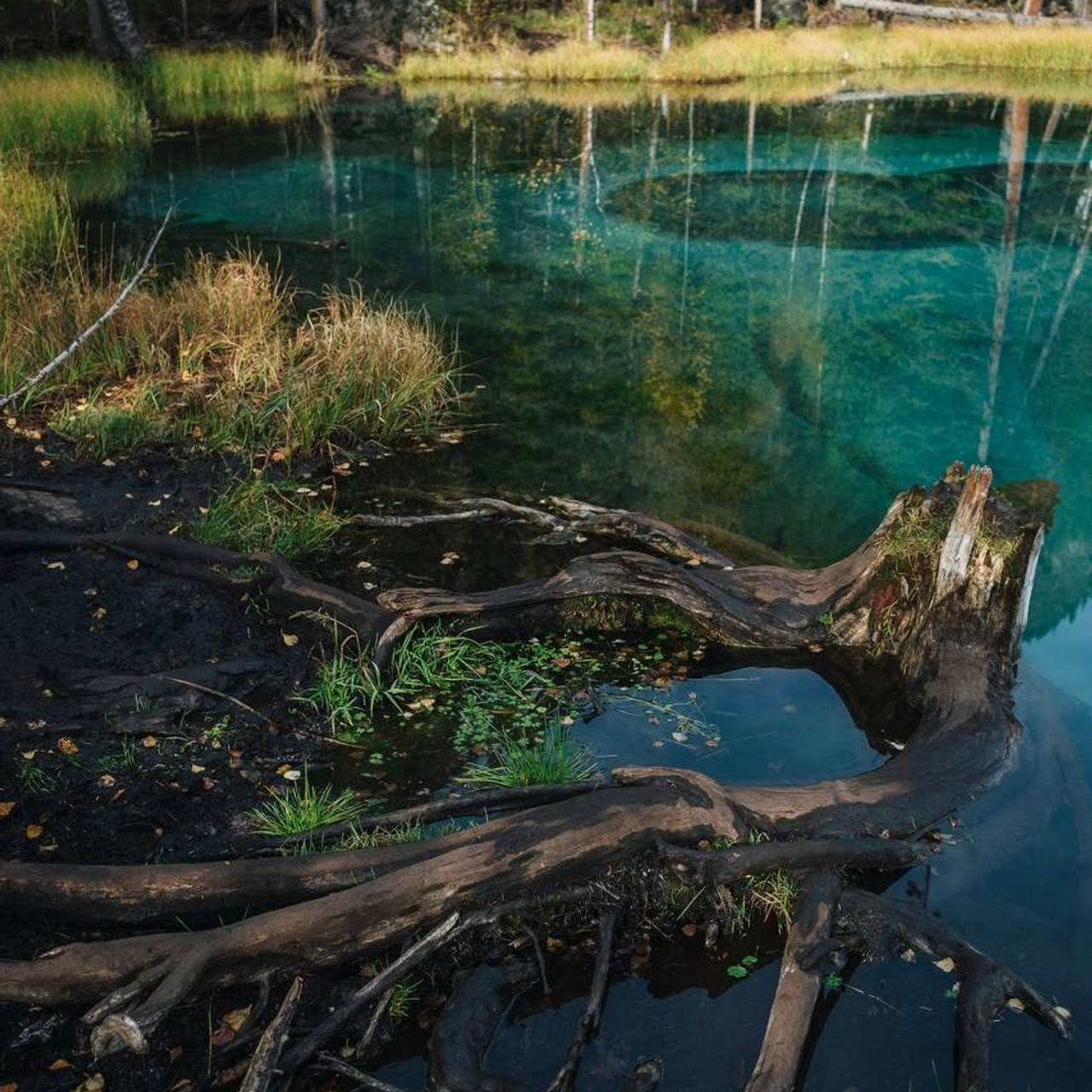 Тур на Алтай с комфортом —  Бархатный сезон