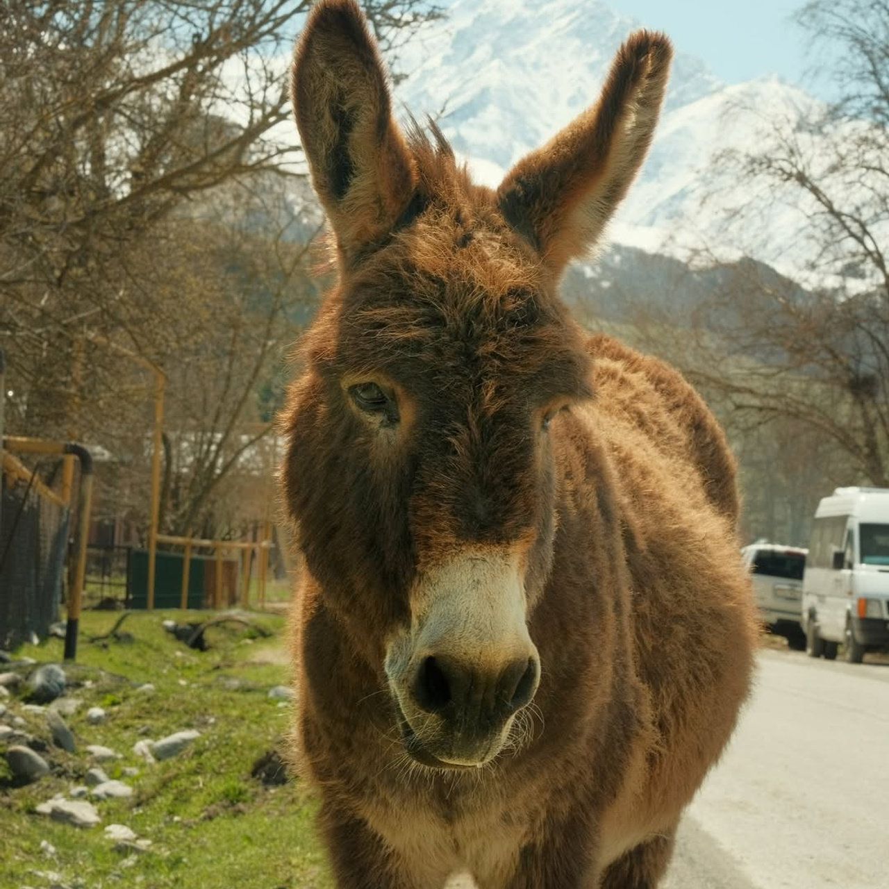 Тур в Осетию —  С проживанием в горах