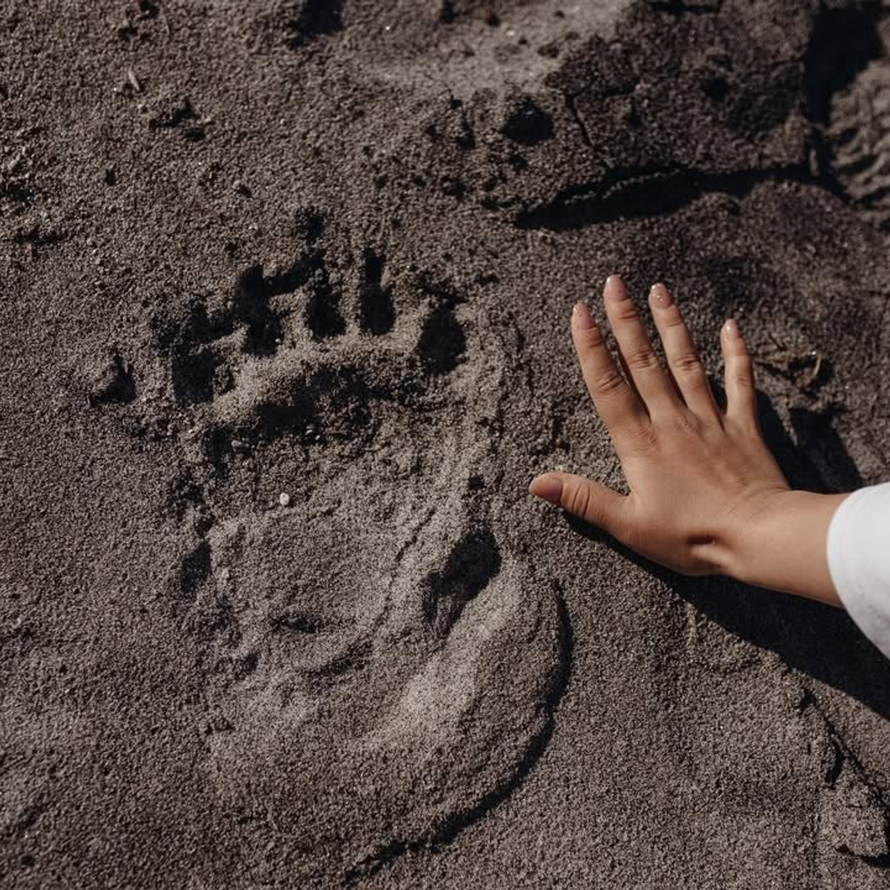 Сахалин + Итуруп