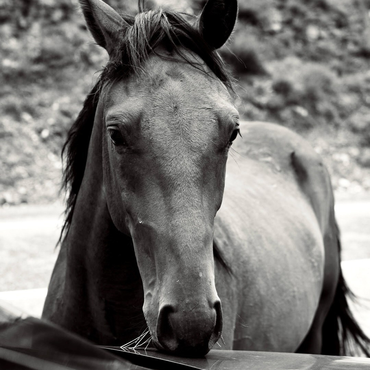 Тур в Осетию —  С проживанием в горах