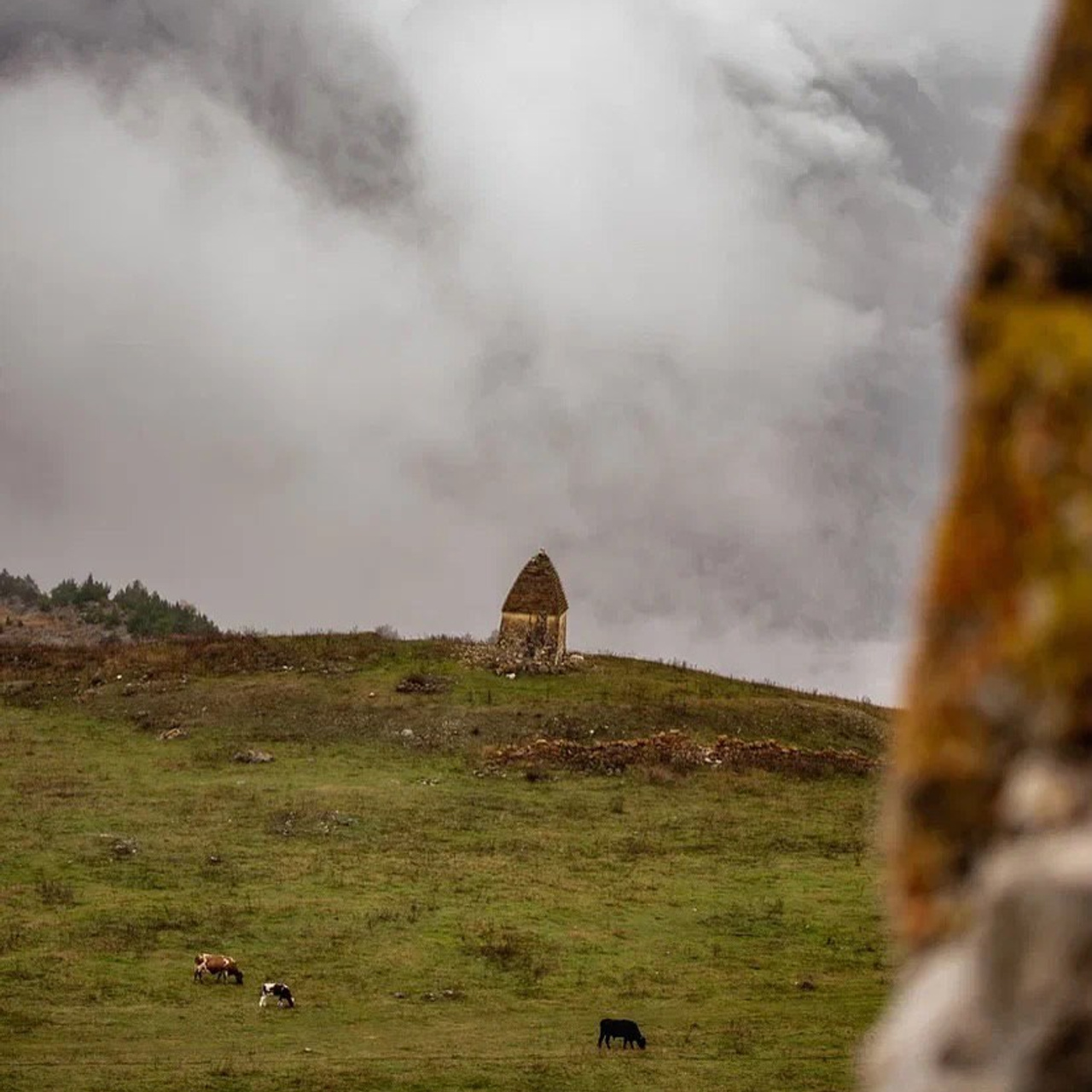 Осетия | премиум