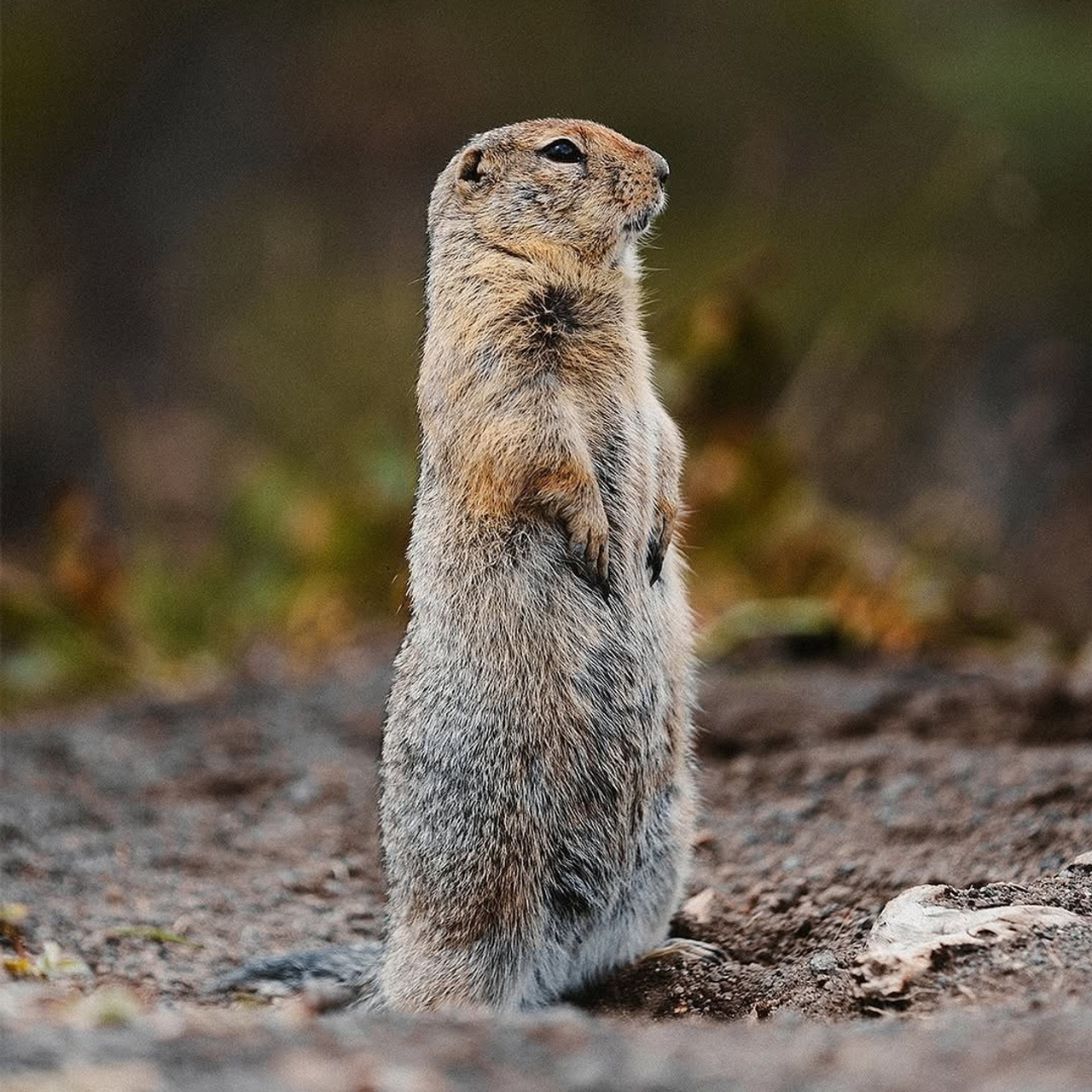 Камчатка с комфортом —  Cезон 2026