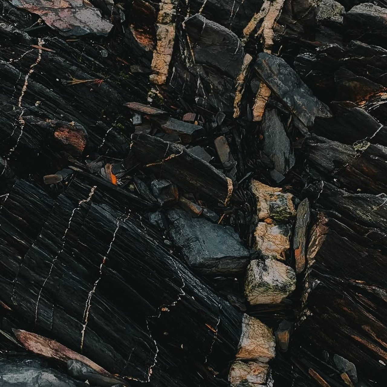 Тур в Мурманск лето 2026 — Двойные шансы встретить китов