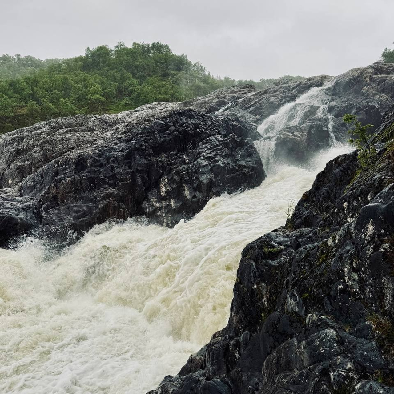 Тур в Мурманск лето 2026 — Двойные шансы встретить китов