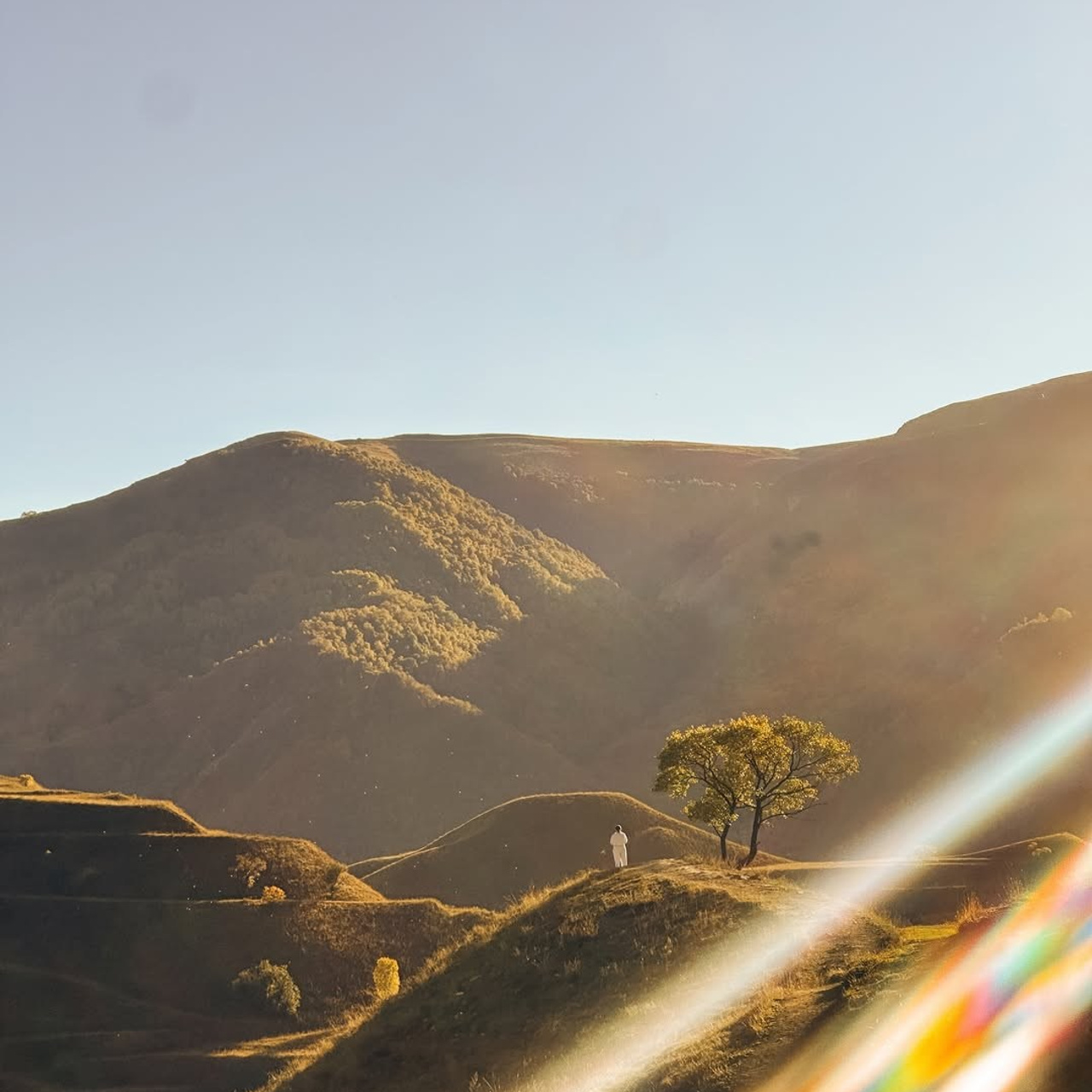 Дагестан| премиум