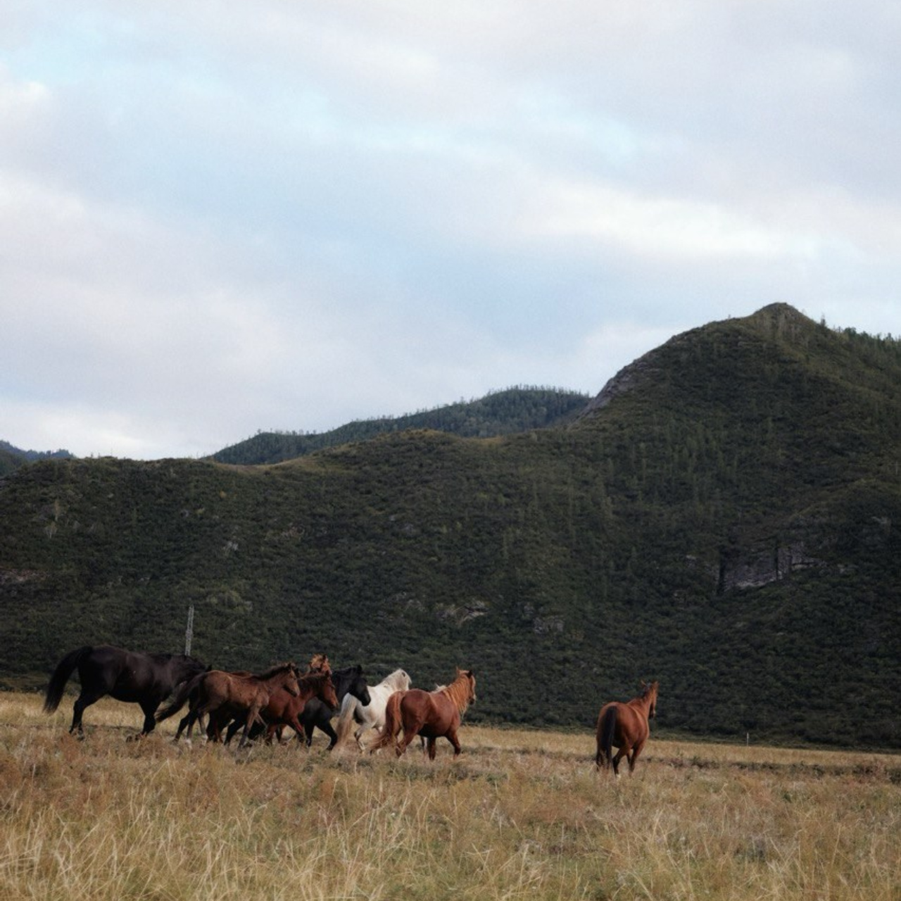 Тур на Алтай —  с комфортом летом