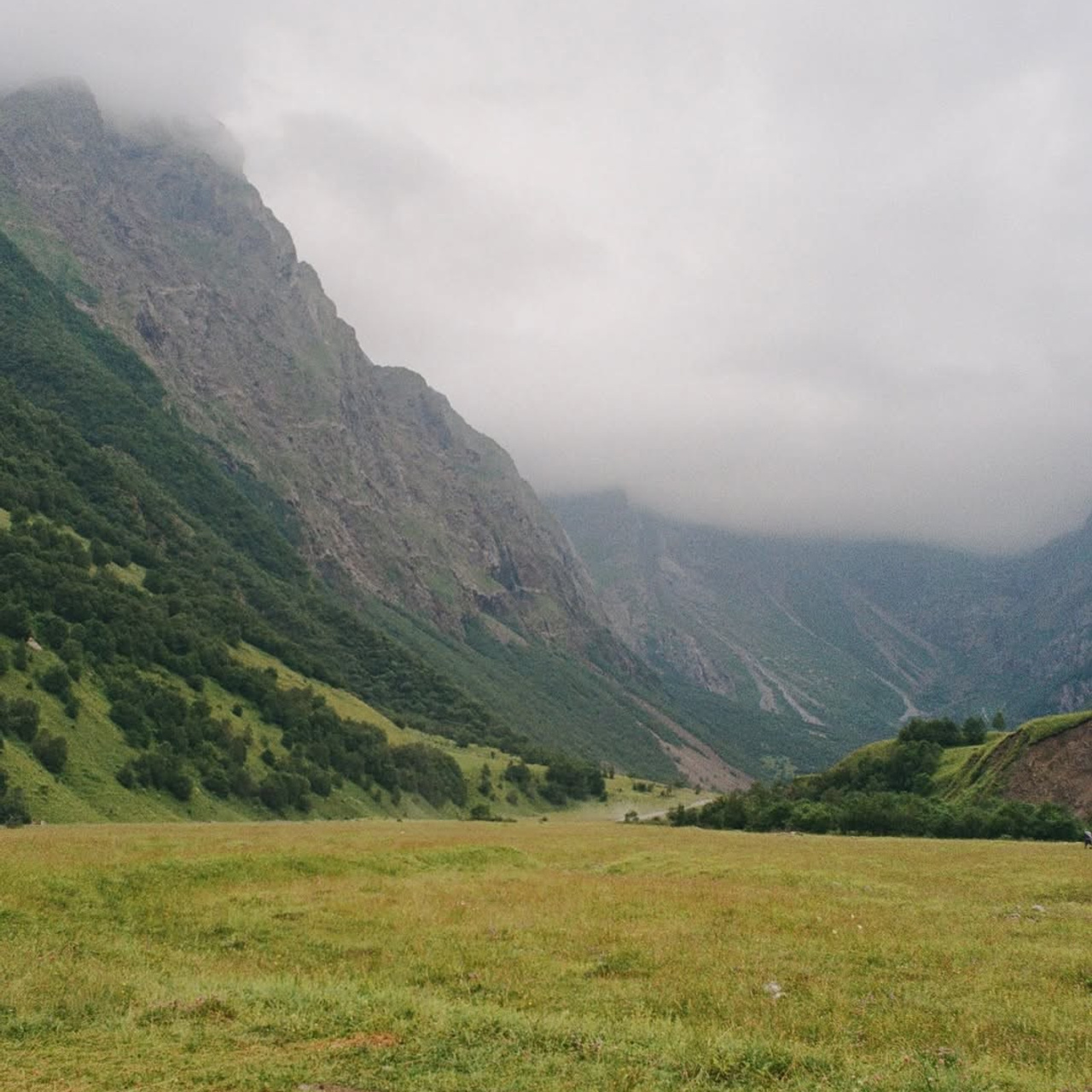 Осетия | премиум