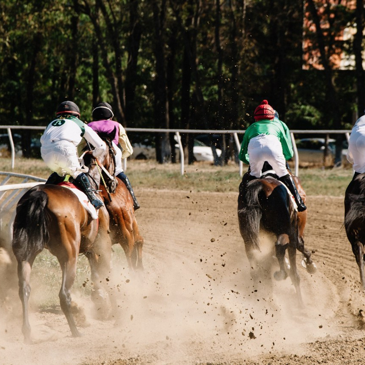 Отзывы на услуги фотографа в Майкопе. Семейный и свадебный фотограф в Майкопе Михаил Мартиросян