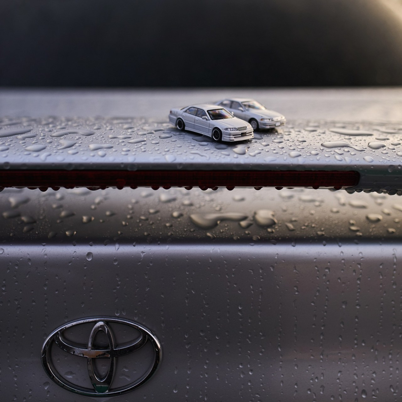 Отзывы. DKARPOCHEVA PHOTOGRAPHY