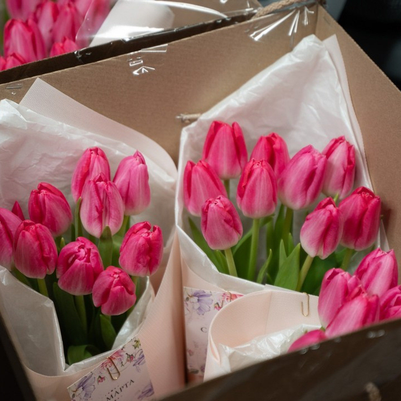 Отзывы. Виктория Цветкова — оператор, режиссер, видеограф в Санкт-Петербурге