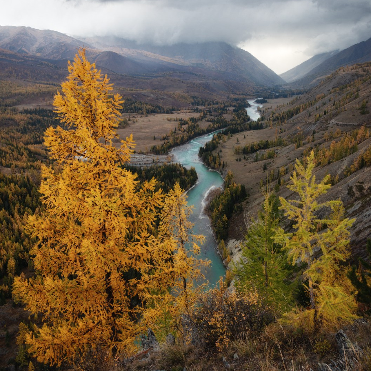 Фототур по осеннему Алтаю «Встречаем предзимье». Профессиональный пейзажный фотограф Алёна Рубан