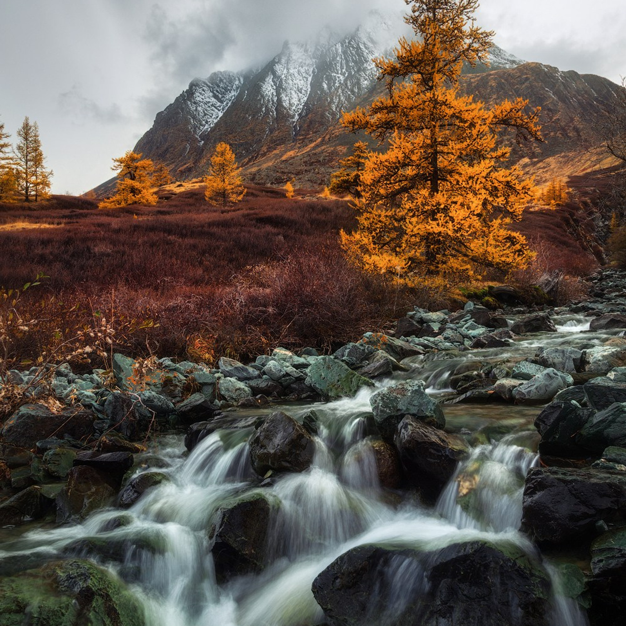 Фототур по Алтаю «В гости к ледникам». Профессиональный пейзажный фотограф Алёна Рубан