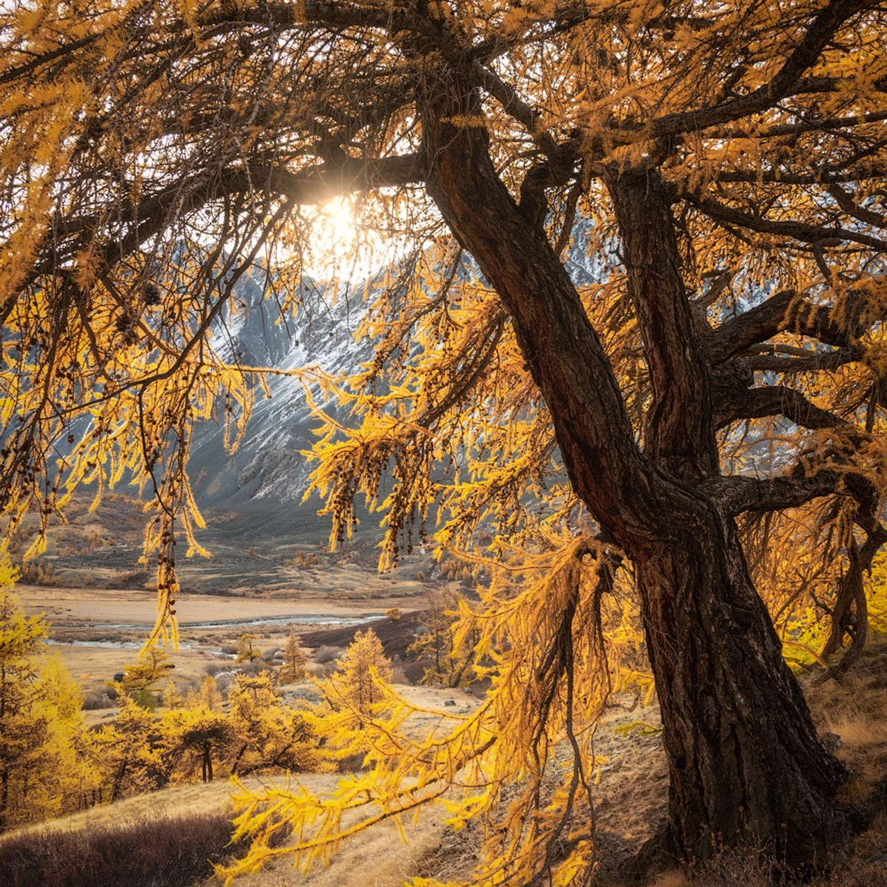 Фототур по Алтаю «В гости к ледникам». Профессиональный пейзажный фотограф Алёна Рубан