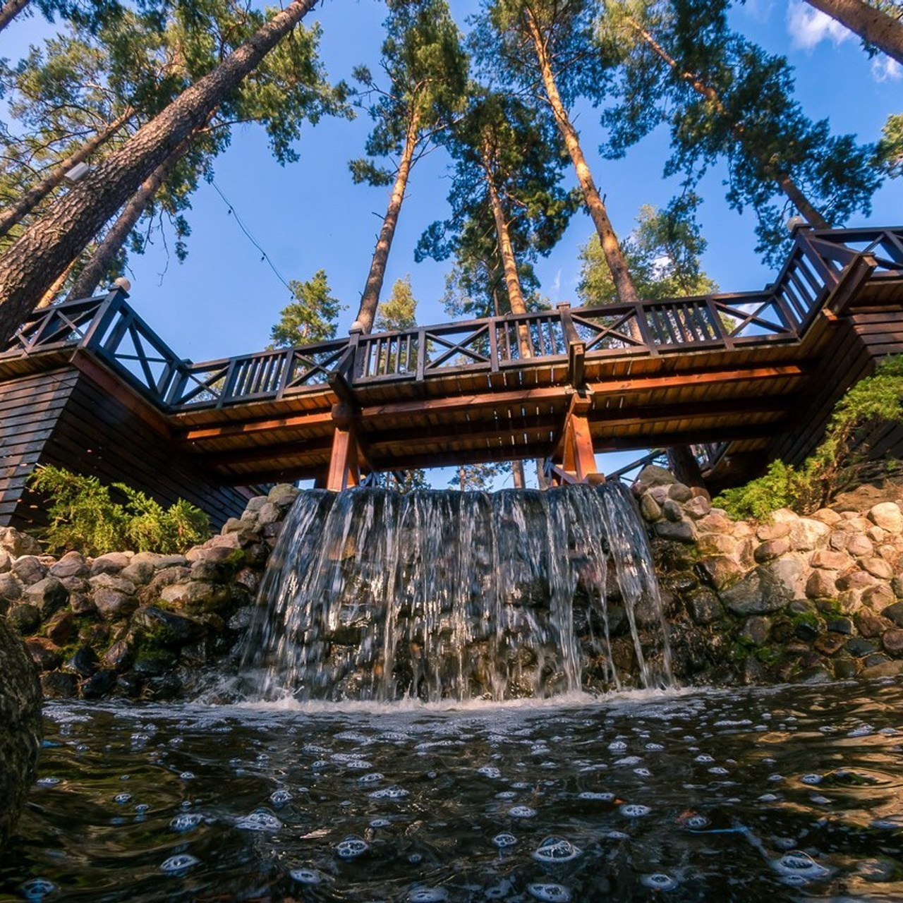 Отзывы. Свадебный фотограф в Москве Сергей Тимофеев